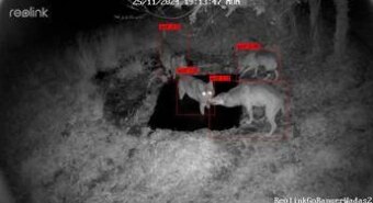 WADAS, l’AI protegge la fauna selvatica: il progetto sperimentale nel Parco Nazionale d’Abruzzo