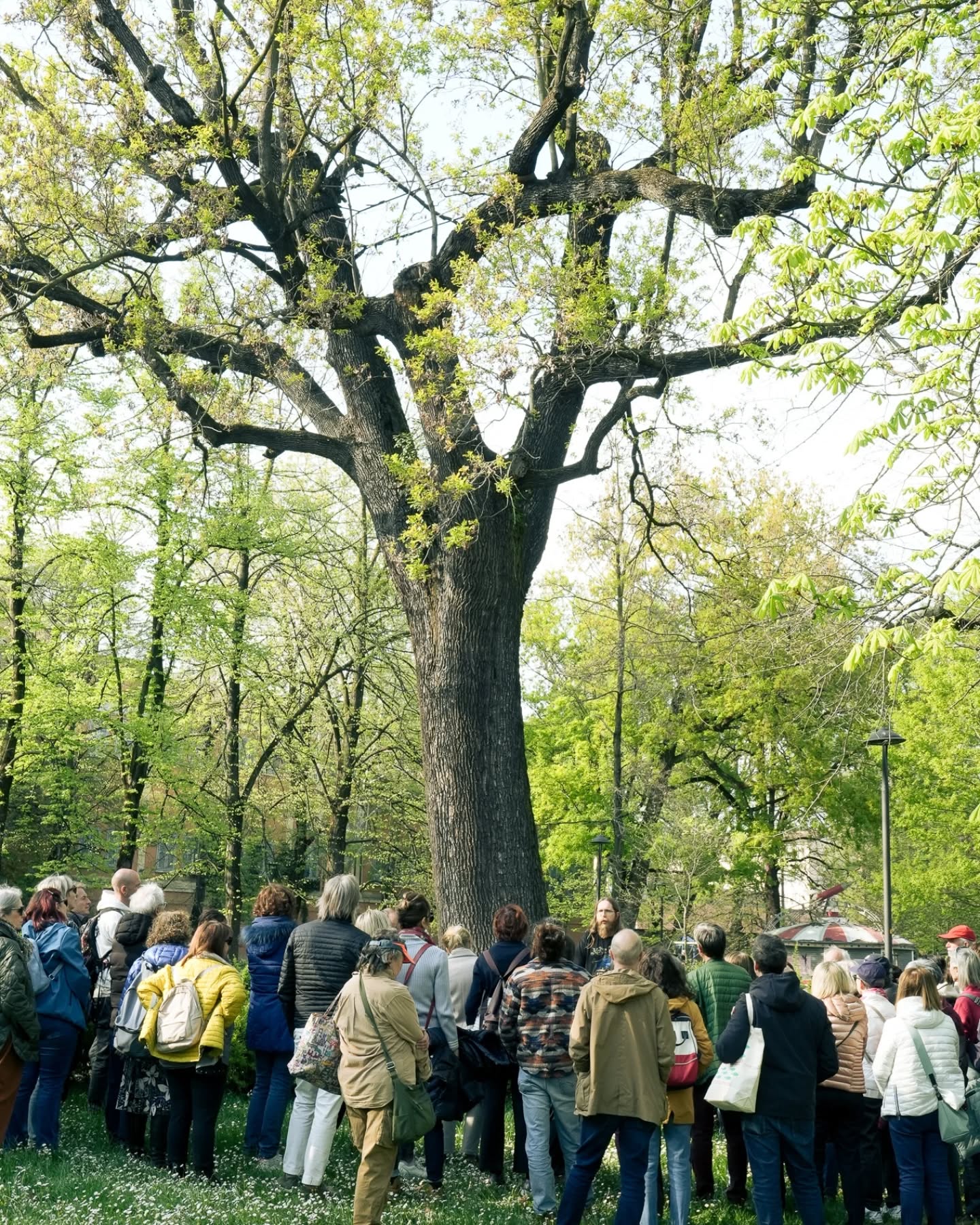 Modena, gran finale per “Alberi Festival”, domenica 13 aprile arriva lo scrittore e fisico Paolo Giordano