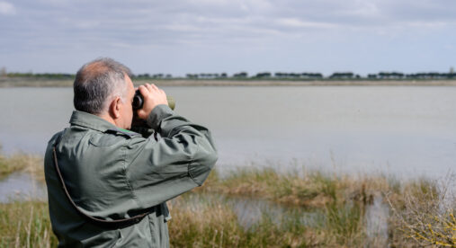 Parco del Delta del Po, Ortazzo-Ortazzino diventa proprietà pubblica: conclusa l’acquisizione Parco del Delta del Po, Ortazzo-Ortazzino diventa proprietà pubblica: conclusa l’acquisizione