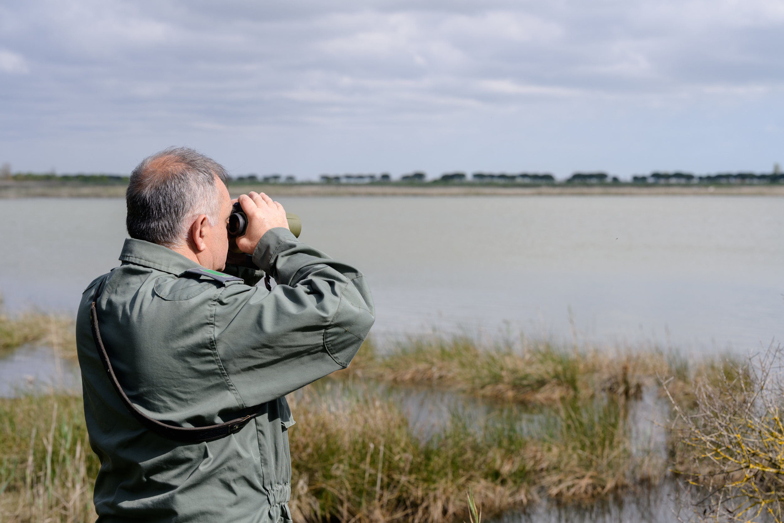 Parco del Delta del Po, Ortazzo-Ortazzino diventa proprietà pubblica: conclusa l’acquisizione