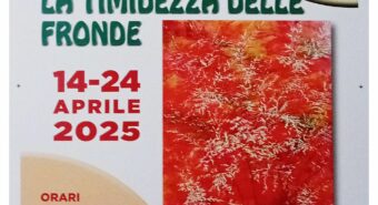 Mirandola, alla Sala Trionfini la mostra “La timidezza delle fronde” di Ruggero Levratti