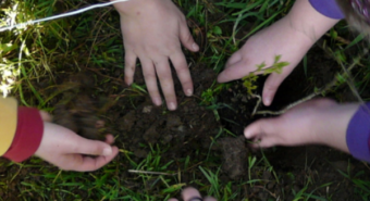 “Mettiamo radici per il futuro”, distribuzione gratuita di piante dei vivai forestali pubblici della Regione Emilia-Romagna