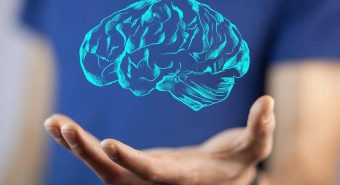 Il cervello cresce e invecchia, i 4 compleanni importanti per la mente: lo studio