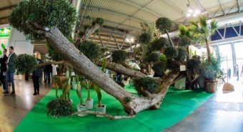 Myplant&Garden, X edizione dal 18 al 20 febbraio 2026 a Fiera Milano Rho Myplant&Garden, X edizione dal 18 al 20 febbraio 2026 a Fiera Milano Rho