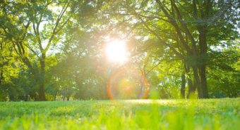 Poche nubi e niente neve, sarà ancora caldo anomalo: le previsioni meteo