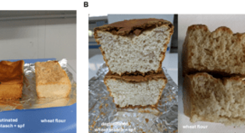 Dal Cnr prototipo di pane di frumento senza glutine, prima volta al mondo