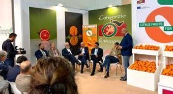 Organizzazioni produttori: nostro ruolo sempre più centrale in mercato globale