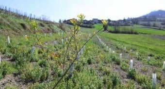 3Bee e l’Oasi della Biodiversità di Pavia