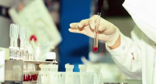 Antrace, vaiolo e virus 'zombie': l'indagine sui rischi nascosti nel ghiaccio da migliaia di anni