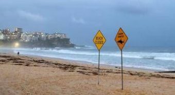 Australia, uomo muore dopo attacco di squalo al largo di Perth