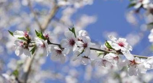Dai temporali al bel tempo, arriva la prima fiammata estiva con 30-32°C nel weekend Dai temporali al bel tempo, arriva la prima fiammata estiva con 30-32°C nel weekend