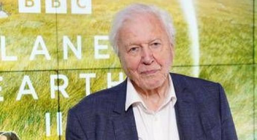 David Attenborough compie 100 anni e riceve un regalo speciale dal Museo di Storia Naturale