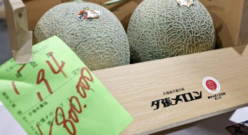 Due meloni venduti a 31mila euro, l'asta choc in Giappone per i frutti 'd'oro'