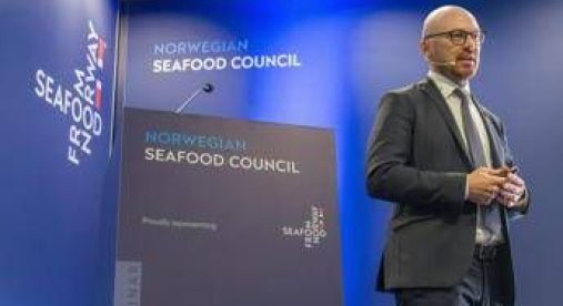 Food, il mercato ittico retail italiano cresce ancora: oltre 4 miliardi di euro nel 2026