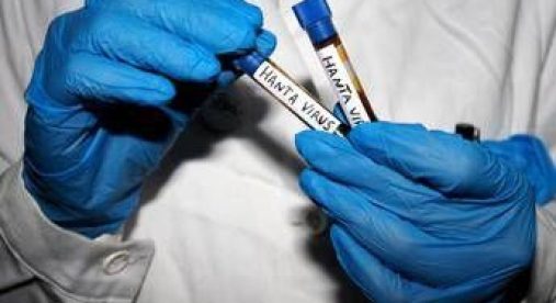 Hantavirus, Ema monitora diffusione: "Pronti a supportare iter vaccini"