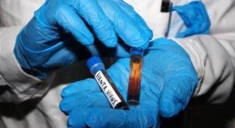 Hantavirus, test negativo per la persone in isolamento in Veneto