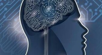 L'AI fa 'copia e incolla' dal cervello umano, così impara: la strategia della Statale di Milano