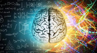 Milano, BrainSpace house per scoprire legame tra benessere di mente e cervello