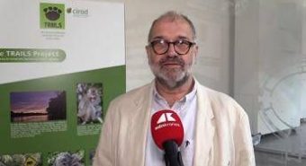 Sostenibilità, Rival (Cirad): "Con Trails integrazione tra foreste e palma da olio"