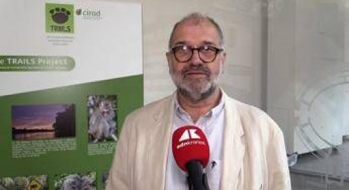 Sostenibilità, Rival (Cirad): "Con Trails integrazione tra foreste e palma da olio"