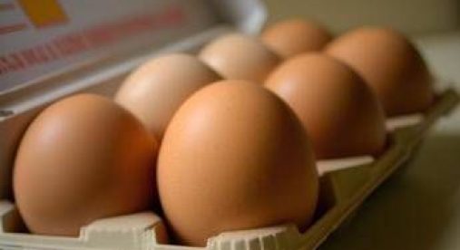 Uova proteggono il cervello, lo studio: "Consumo regolare riduce rischio di Alzheimer"